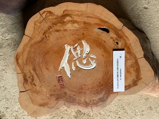 スポット内のおすすめ