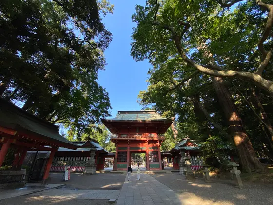 門