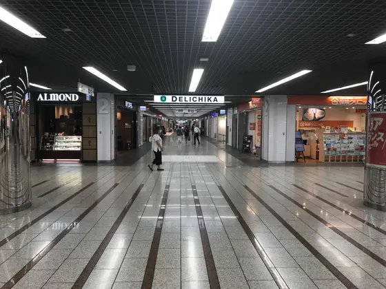 先が見えませんw