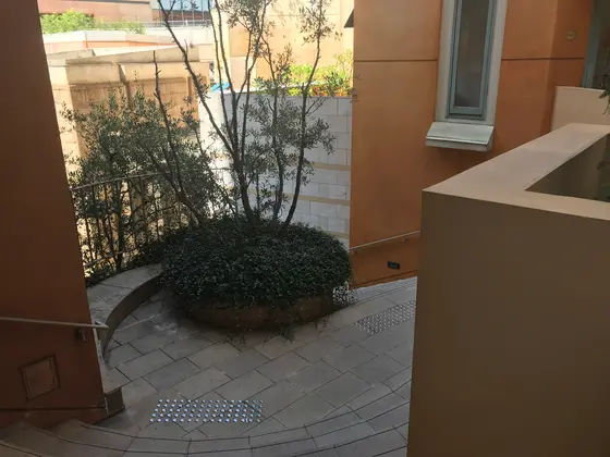 心折れそう・・・