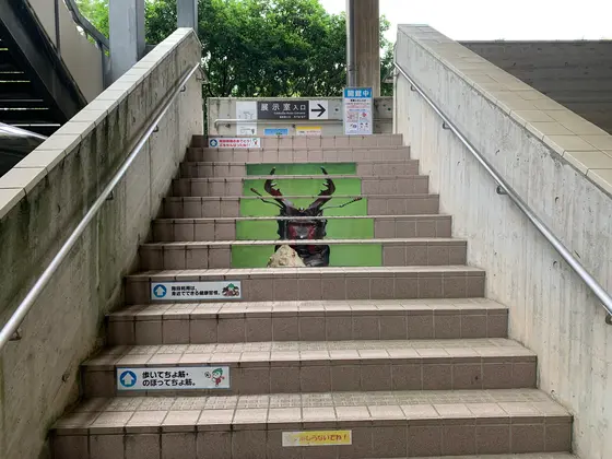 スポット内のおすすめ