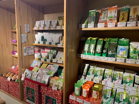 スポット内のおすすめ
