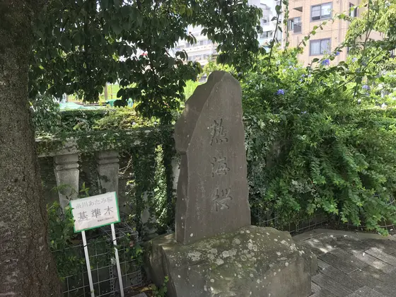 お宮の松を後にして