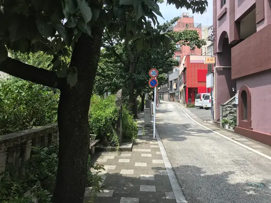 川は凄い事になっているので