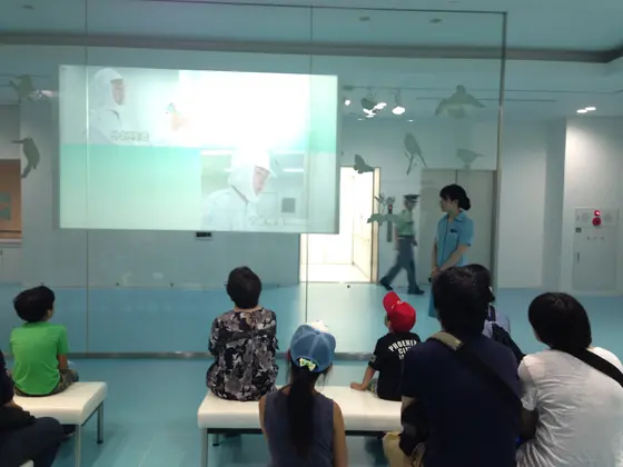 工場見学の様子