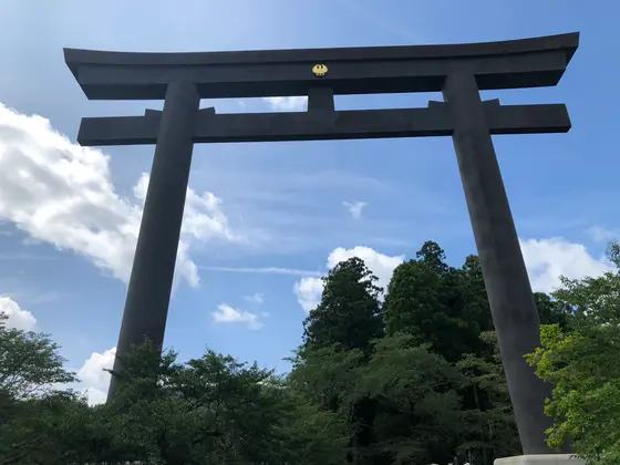 真下から