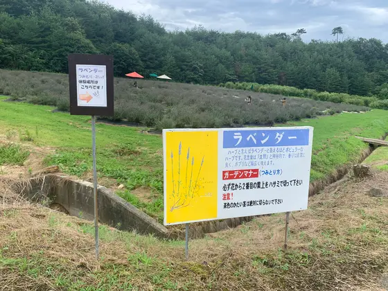 スポット内のおすすめ