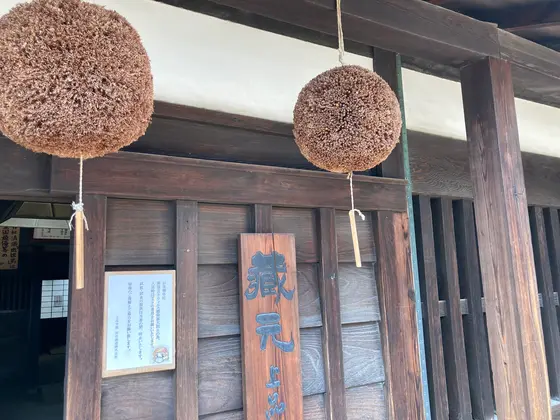 お酒屋のシンボル「杉玉」