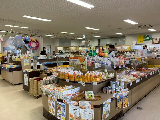 スポット内のおすすめ