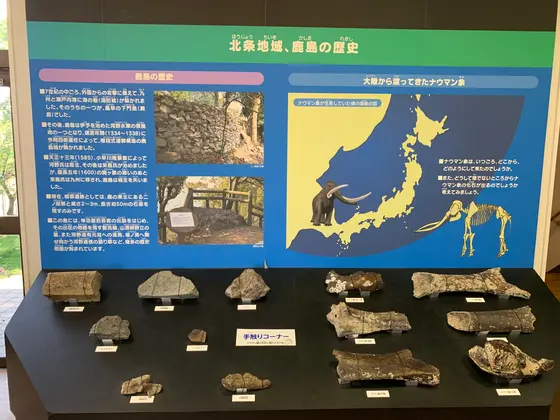 スポット内のおすすめ