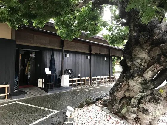 木の後ろは