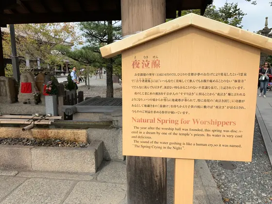 スポット内のおすすめ
