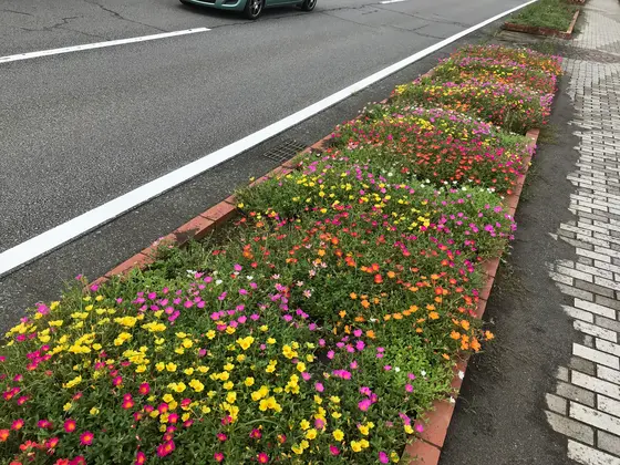 カラフルですねぇ^_^