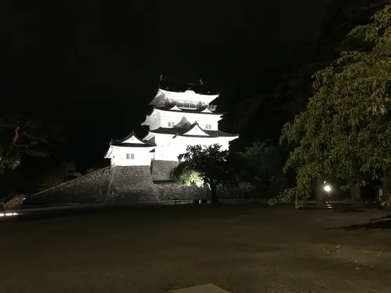 ほぅ。お見事♪