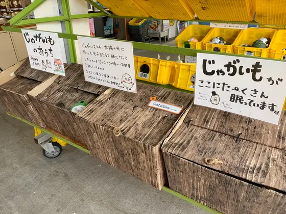 スポット内のおすすめ