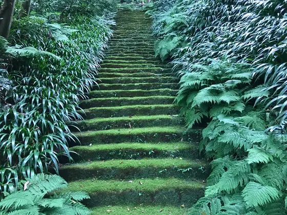 階段バーンw