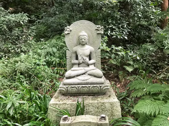 苔階段の上