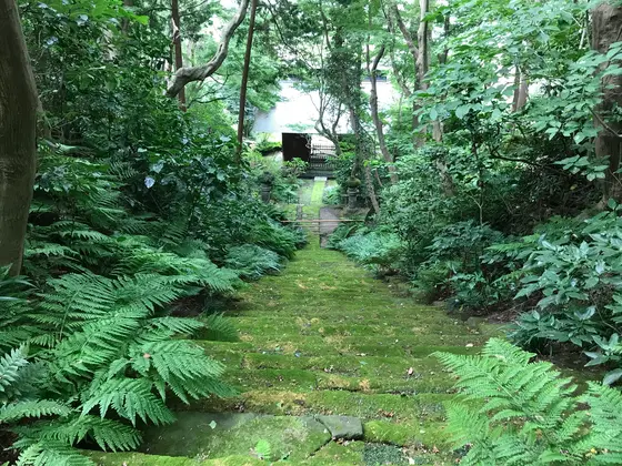 では見下ろしてみます。
