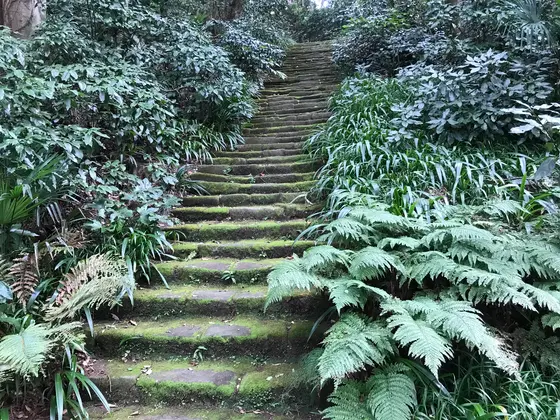 更なる高みを目指してw