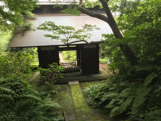 下山OK