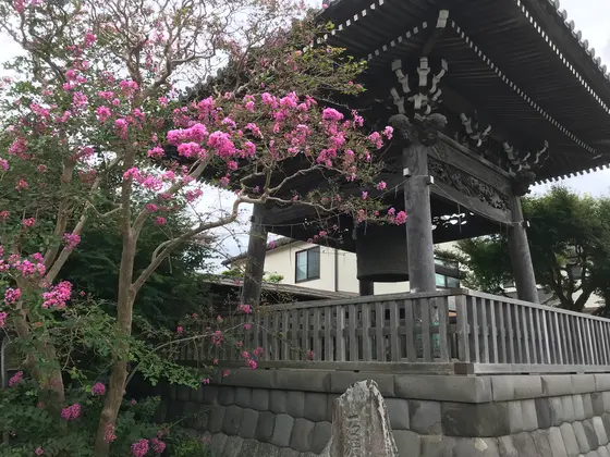 鐘楼をバックに