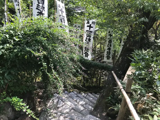 萩が咲いてます。