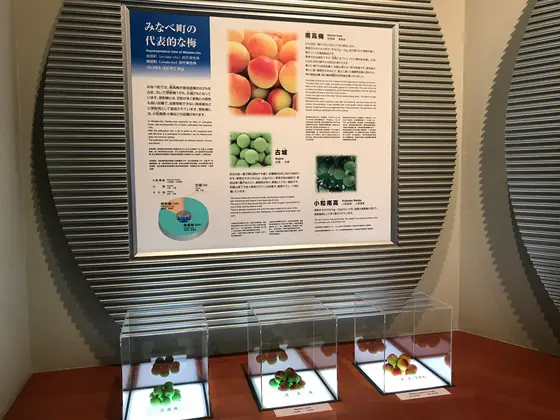 スポット内のおすすめ