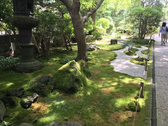 こう言っては何だが