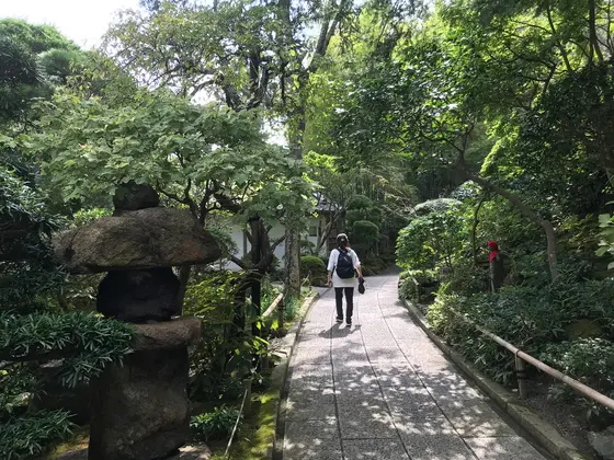 竹庭を見るのが有料。