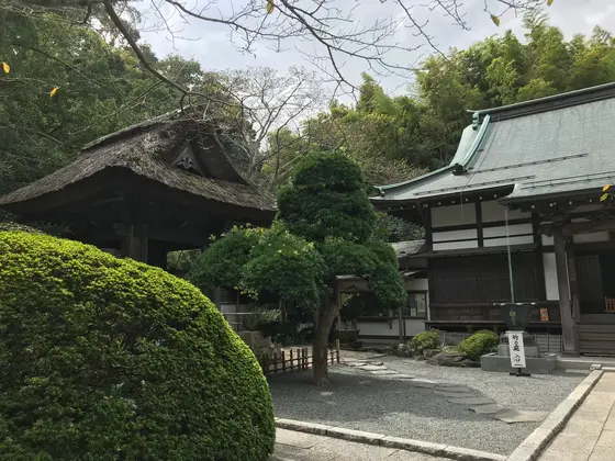 良く手入れされています。
