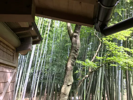 これだけの参拝客ですからね。