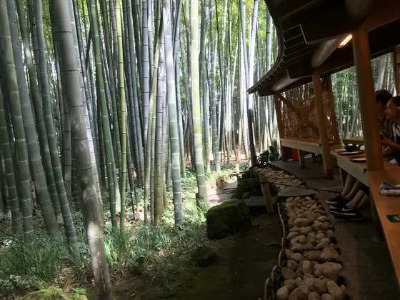 席と竹林の境界