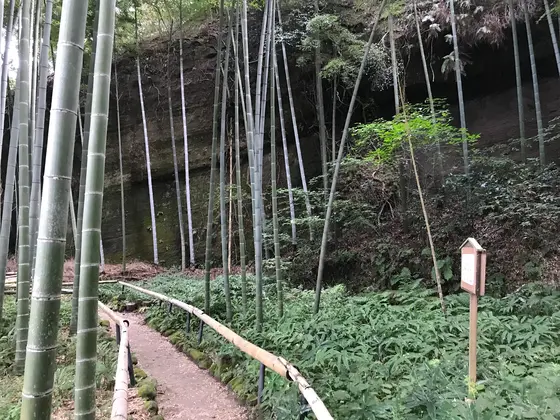 奥まで進むと。