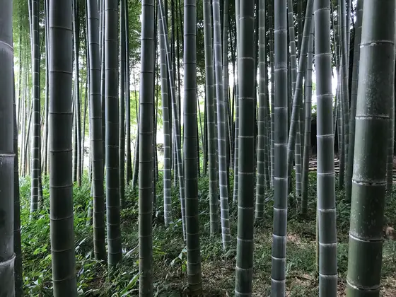 狭いですが・・・