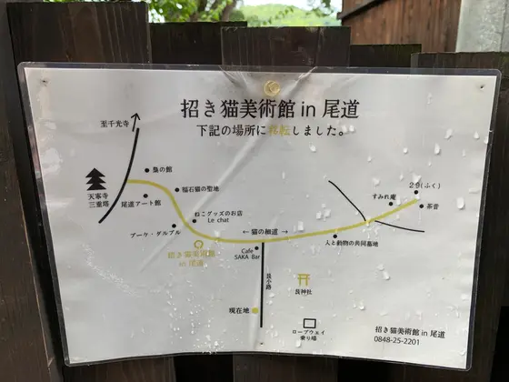 スポット内のおすすめ