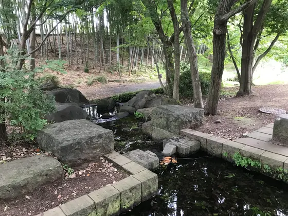 森の中の遊歩道