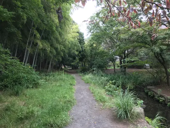 親水公園的な部分も