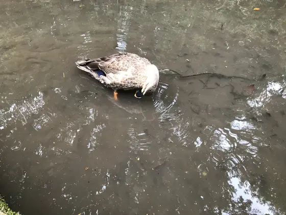 本当、人を恐れません。