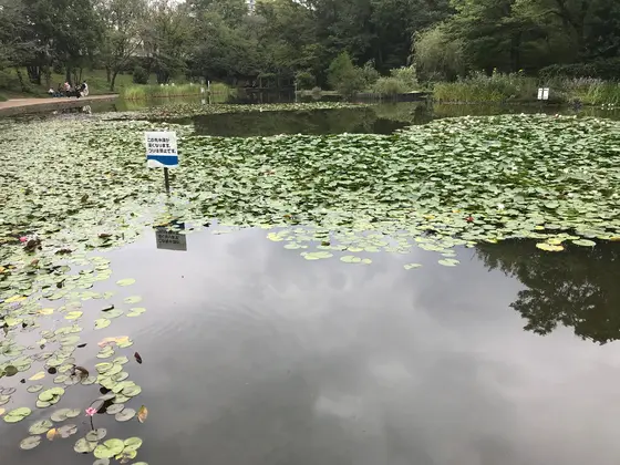 橋を潜ると。