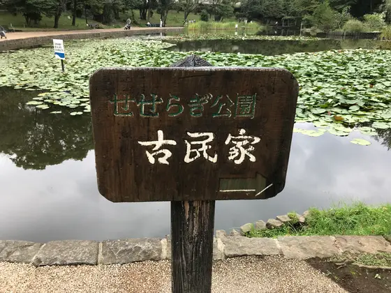 さて、せせらぎ公園と言えば。