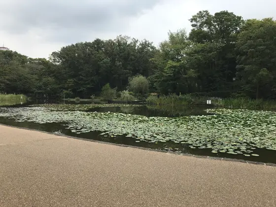 ちょっくら休憩♪
