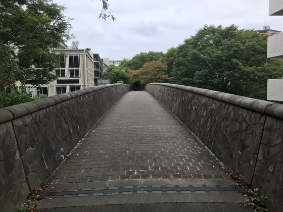 大きな通りは歩道橋でスルー