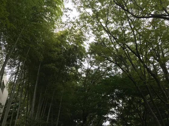 空を見上げれば♪