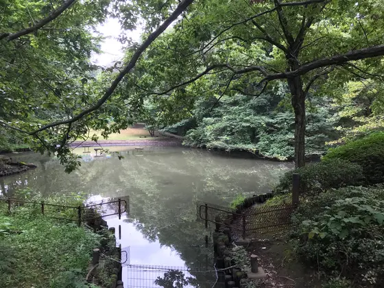 緑道交差点。