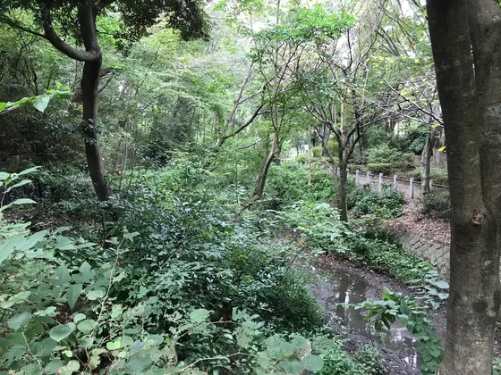 鬱蒼とし過ぎだろw