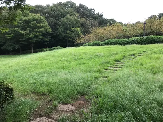中々の規模の草原。
