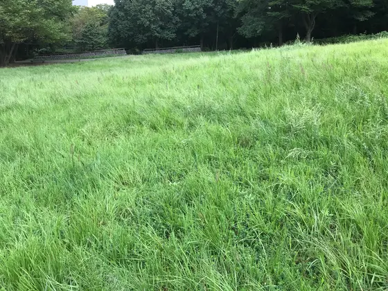 プチ雄大な眺めですw