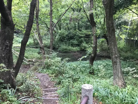 横浜の公園はご注意。