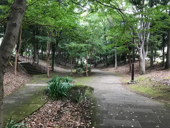 ってか、緑も飽きて来たw