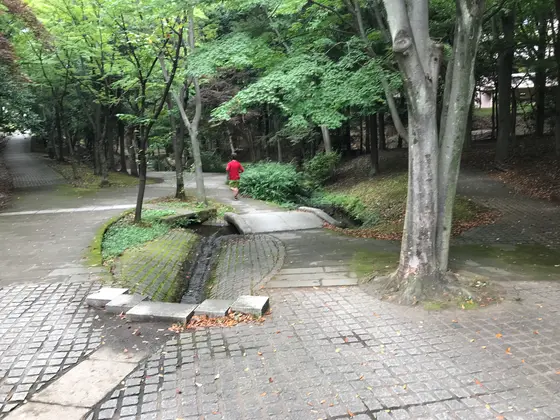 だって、緑もお腹いっぱいですw